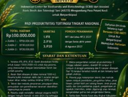 Ini Syarat Ikut Lomba Padi Berhadiah Rp100 Juta dari ICBB-AB2TI